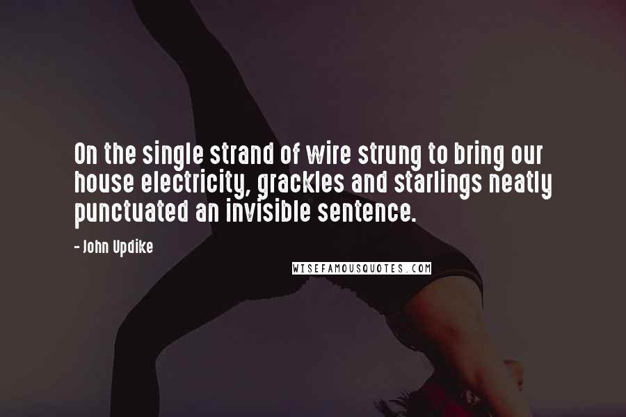 John Updike Quotes: On the single strand of wire strung to bring our house electricity, grackles and starlings neatly punctuated an invisible sentence.