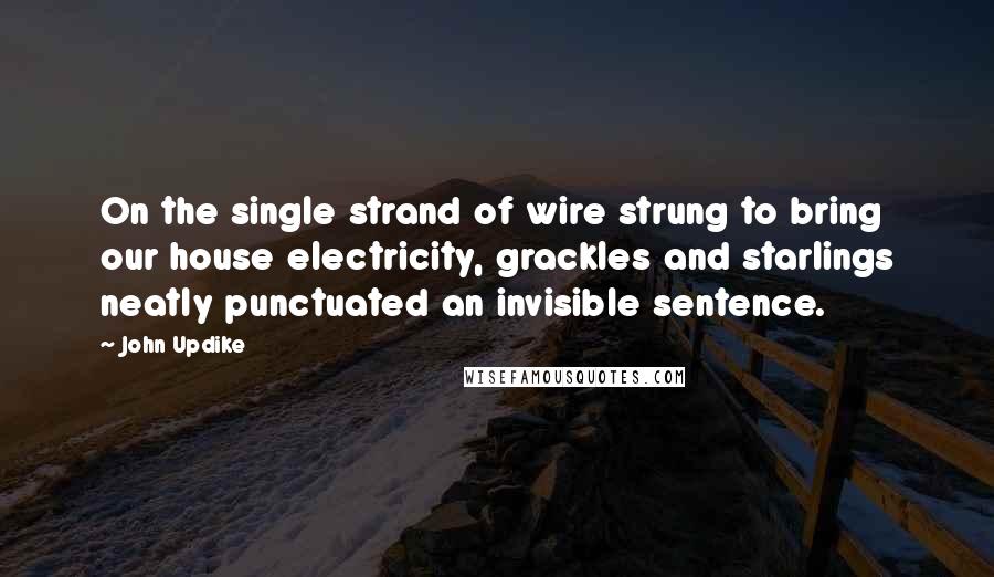 John Updike Quotes: On the single strand of wire strung to bring our house electricity, grackles and starlings neatly punctuated an invisible sentence.