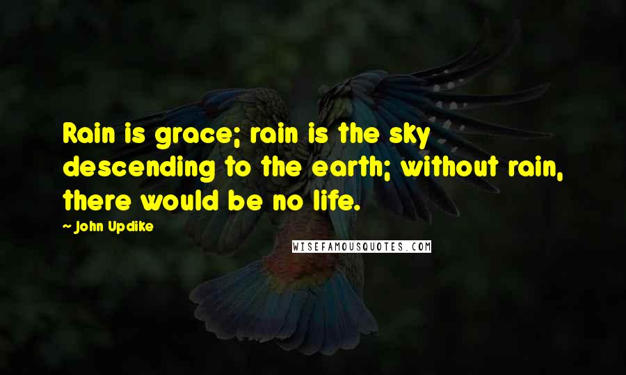 John Updike Quotes: Rain is grace; rain is the sky descending to the earth; without rain, there would be no life.