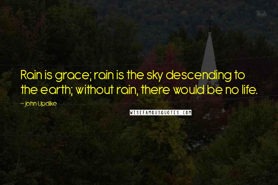 John Updike Quotes: Rain is grace; rain is the sky descending to the earth; without rain, there would be no life.