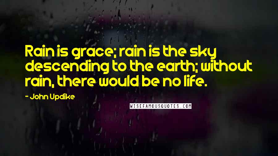 John Updike Quotes: Rain is grace; rain is the sky descending to the earth; without rain, there would be no life.