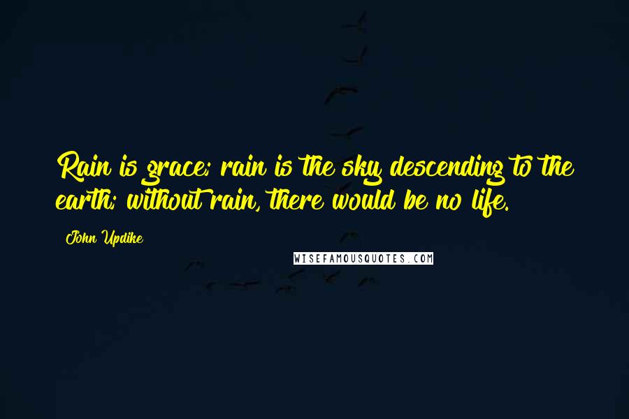 John Updike Quotes: Rain is grace; rain is the sky descending to the earth; without rain, there would be no life.