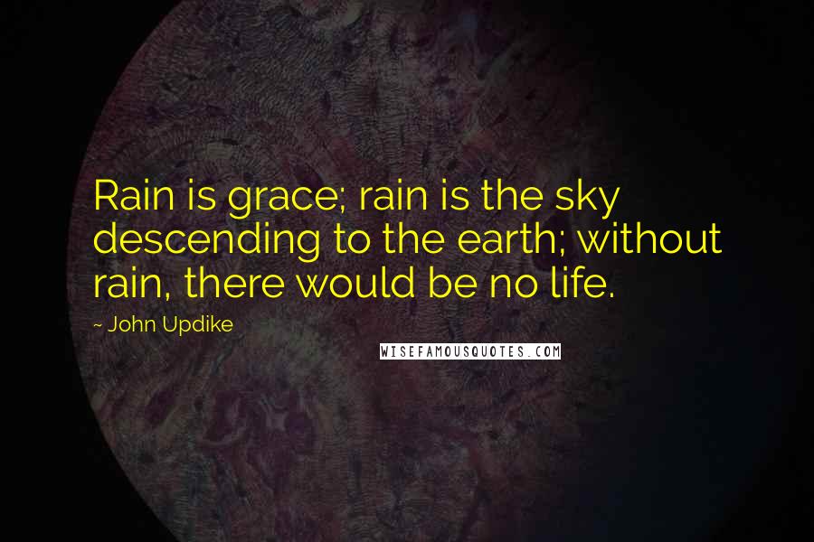 John Updike Quotes: Rain is grace; rain is the sky descending to the earth; without rain, there would be no life.