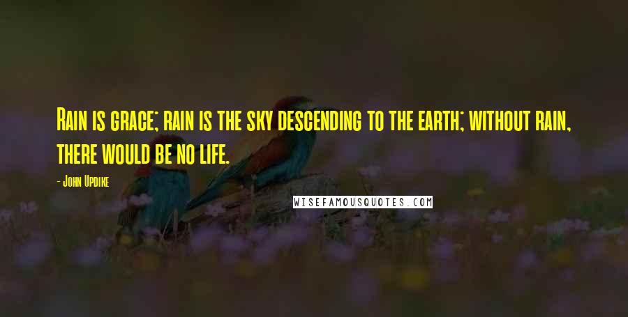 John Updike Quotes: Rain is grace; rain is the sky descending to the earth; without rain, there would be no life.