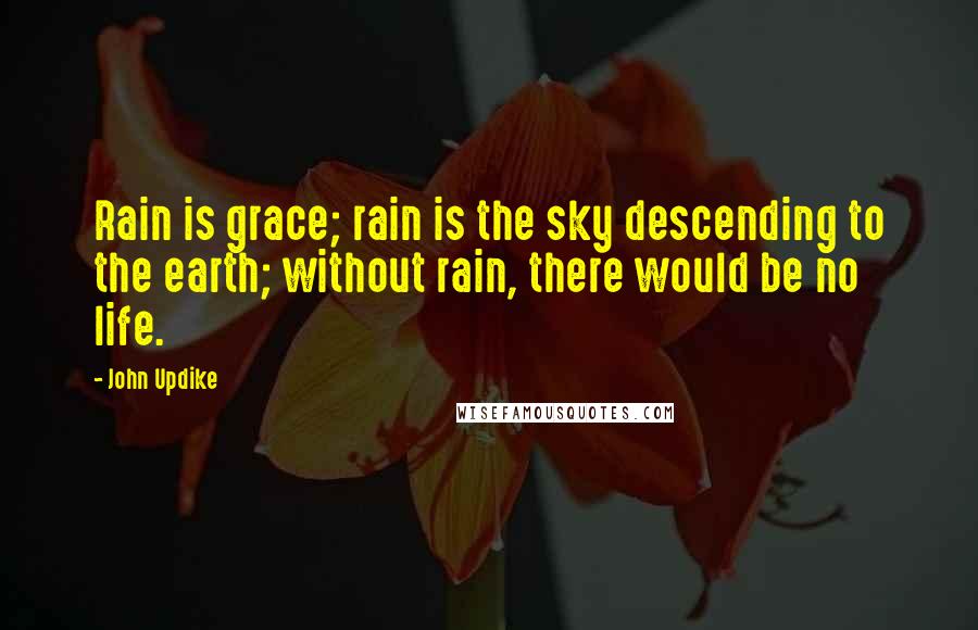 John Updike Quotes: Rain is grace; rain is the sky descending to the earth; without rain, there would be no life.