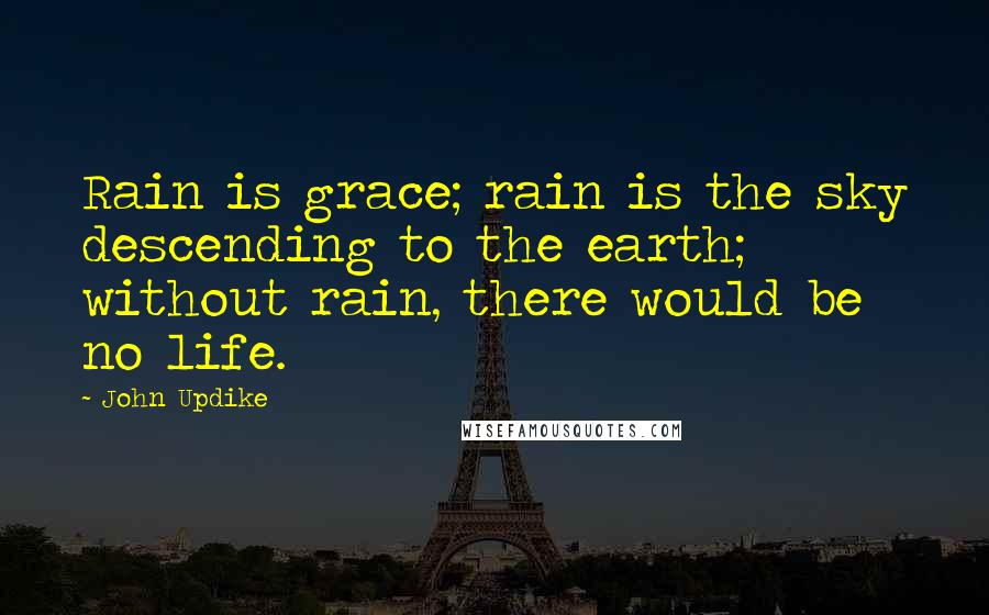 John Updike Quotes: Rain is grace; rain is the sky descending to the earth; without rain, there would be no life.