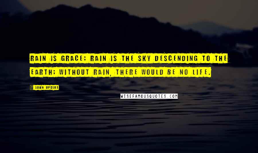 John Updike Quotes: Rain is grace; rain is the sky descending to the earth; without rain, there would be no life.