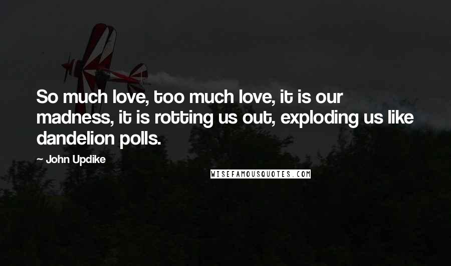 John Updike Quotes: So much love, too much love, it is our madness, it is rotting us out, exploding us like dandelion polls.