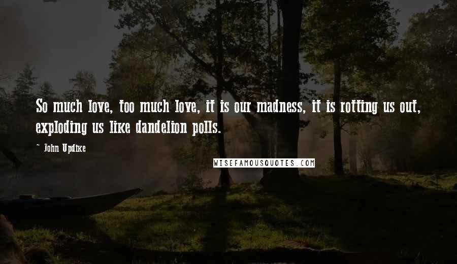 John Updike Quotes: So much love, too much love, it is our madness, it is rotting us out, exploding us like dandelion polls.