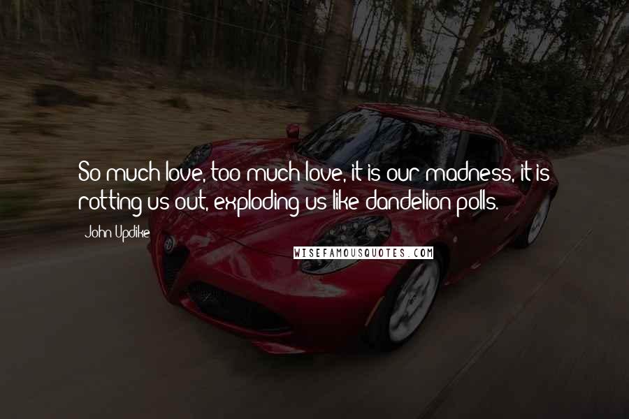 John Updike Quotes: So much love, too much love, it is our madness, it is rotting us out, exploding us like dandelion polls.