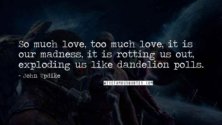 John Updike Quotes: So much love, too much love, it is our madness, it is rotting us out, exploding us like dandelion polls.