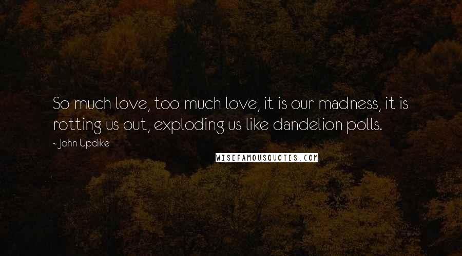 John Updike Quotes: So much love, too much love, it is our madness, it is rotting us out, exploding us like dandelion polls.