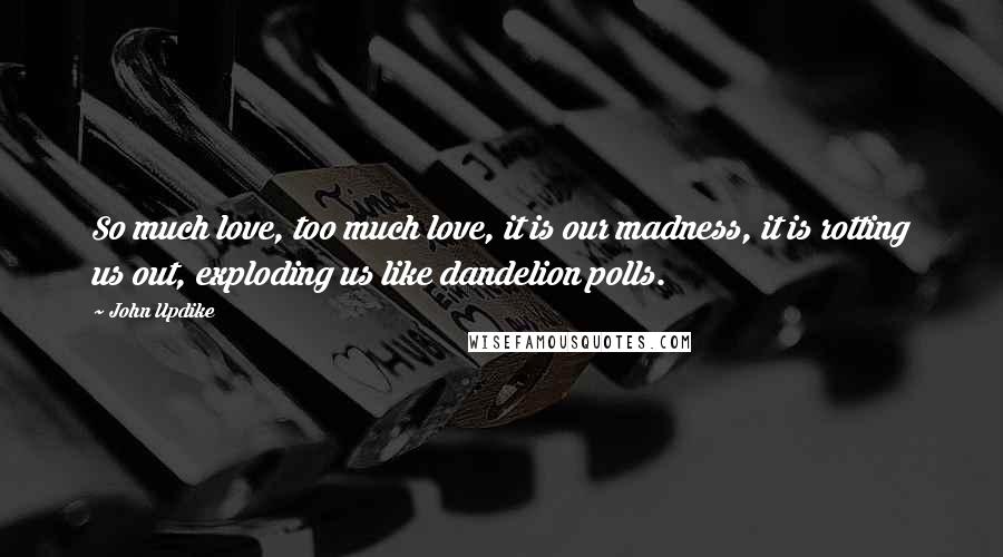 John Updike Quotes: So much love, too much love, it is our madness, it is rotting us out, exploding us like dandelion polls.
