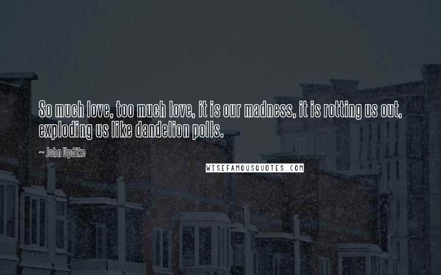 John Updike Quotes: So much love, too much love, it is our madness, it is rotting us out, exploding us like dandelion polls.