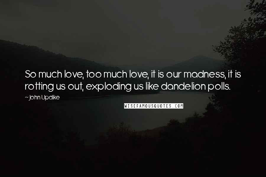 John Updike Quotes: So much love, too much love, it is our madness, it is rotting us out, exploding us like dandelion polls.