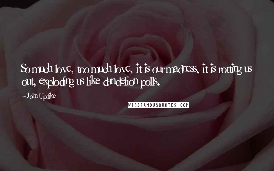 John Updike Quotes: So much love, too much love, it is our madness, it is rotting us out, exploding us like dandelion polls.