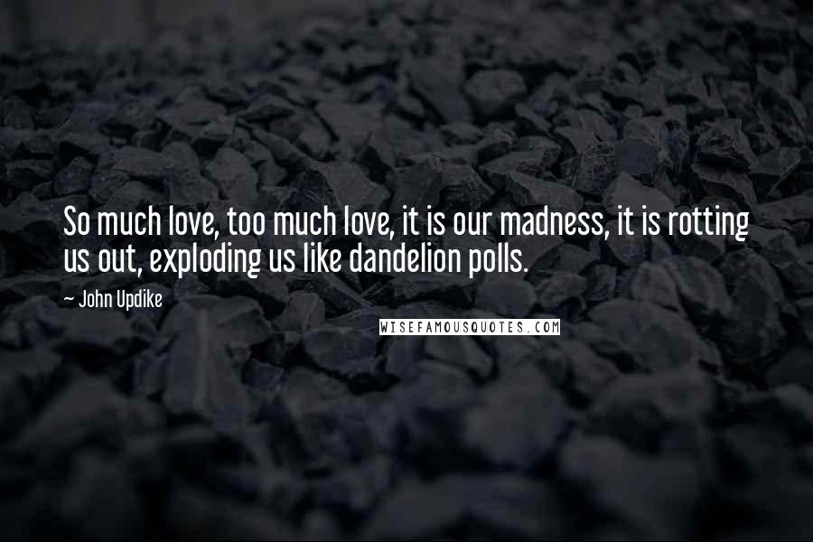 John Updike Quotes: So much love, too much love, it is our madness, it is rotting us out, exploding us like dandelion polls.