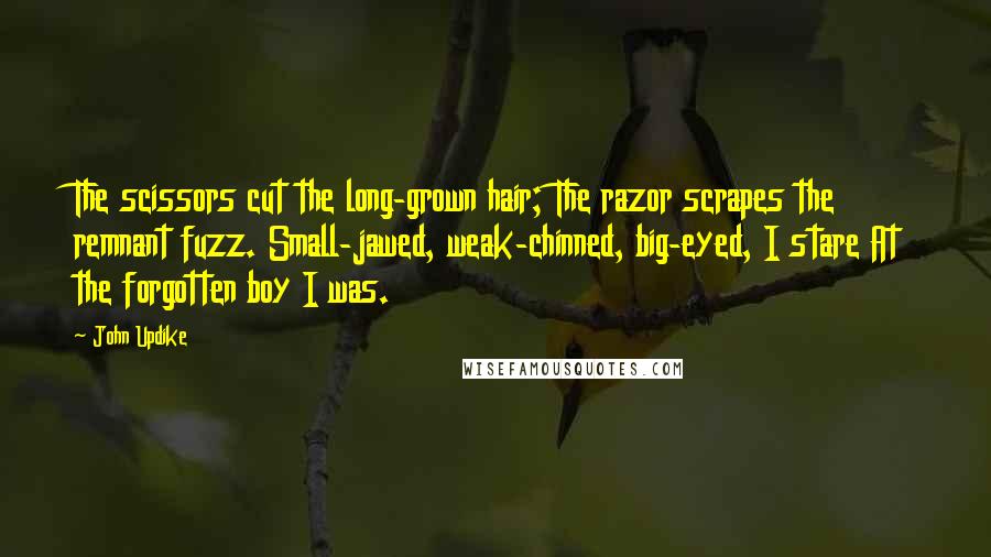 John Updike Quotes: The scissors cut the long-grown hair; The razor scrapes the remnant fuzz. Small-jawed, weak-chinned, big-eyed, I stare At the forgotten boy I was.