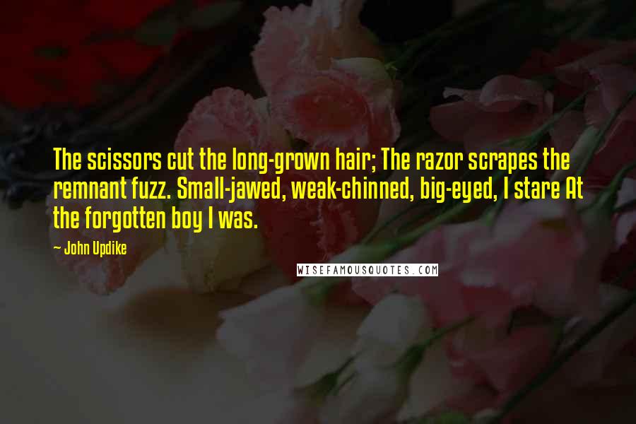 John Updike Quotes: The scissors cut the long-grown hair; The razor scrapes the remnant fuzz. Small-jawed, weak-chinned, big-eyed, I stare At the forgotten boy I was.