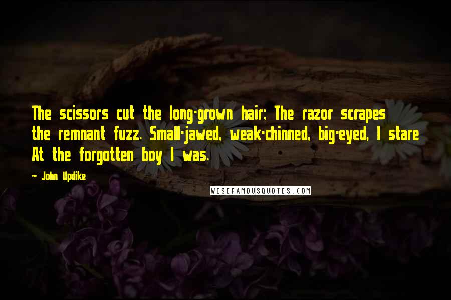 John Updike Quotes: The scissors cut the long-grown hair; The razor scrapes the remnant fuzz. Small-jawed, weak-chinned, big-eyed, I stare At the forgotten boy I was.
