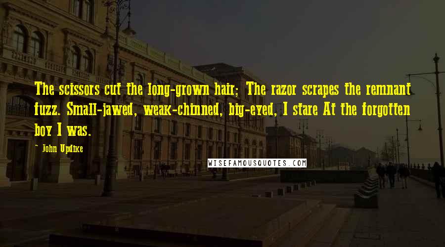 John Updike Quotes: The scissors cut the long-grown hair; The razor scrapes the remnant fuzz. Small-jawed, weak-chinned, big-eyed, I stare At the forgotten boy I was.