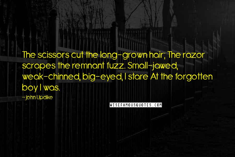 John Updike Quotes: The scissors cut the long-grown hair; The razor scrapes the remnant fuzz. Small-jawed, weak-chinned, big-eyed, I stare At the forgotten boy I was.