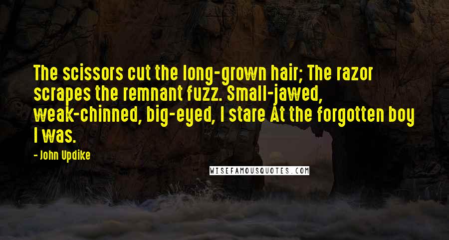 John Updike Quotes: The scissors cut the long-grown hair; The razor scrapes the remnant fuzz. Small-jawed, weak-chinned, big-eyed, I stare At the forgotten boy I was.