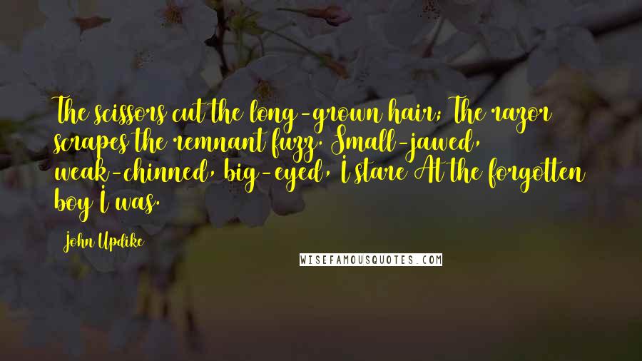 John Updike Quotes: The scissors cut the long-grown hair; The razor scrapes the remnant fuzz. Small-jawed, weak-chinned, big-eyed, I stare At the forgotten boy I was.