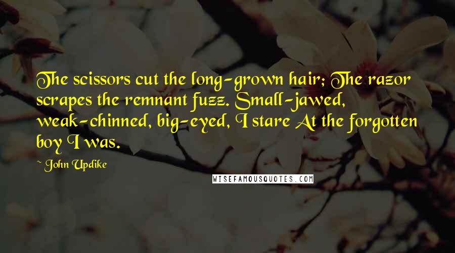 John Updike Quotes: The scissors cut the long-grown hair; The razor scrapes the remnant fuzz. Small-jawed, weak-chinned, big-eyed, I stare At the forgotten boy I was.