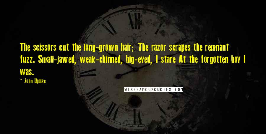 John Updike Quotes: The scissors cut the long-grown hair; The razor scrapes the remnant fuzz. Small-jawed, weak-chinned, big-eyed, I stare At the forgotten boy I was.