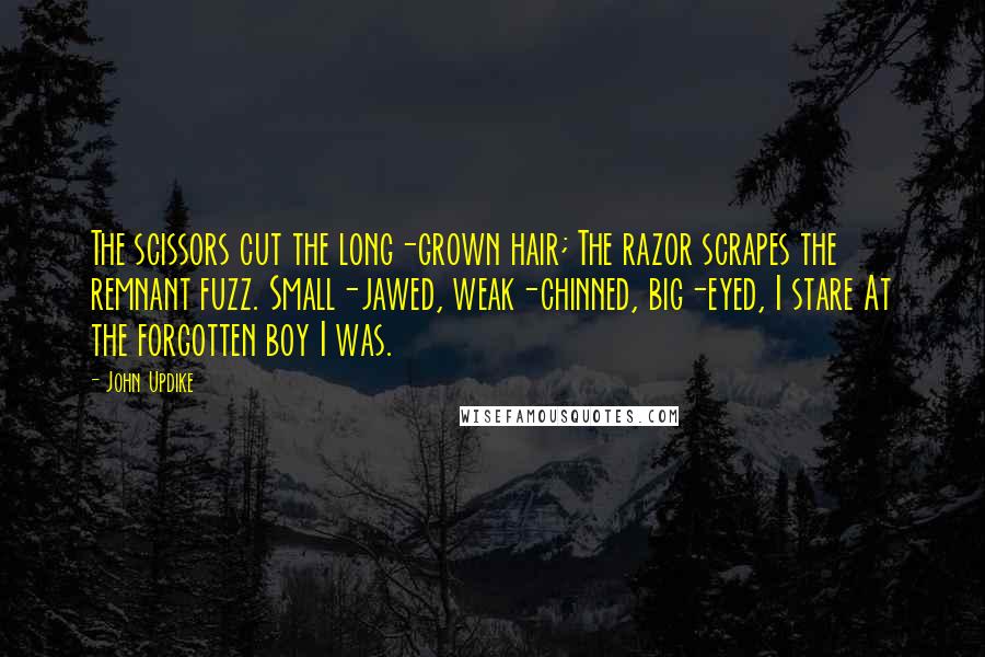 John Updike Quotes: The scissors cut the long-grown hair; The razor scrapes the remnant fuzz. Small-jawed, weak-chinned, big-eyed, I stare At the forgotten boy I was.