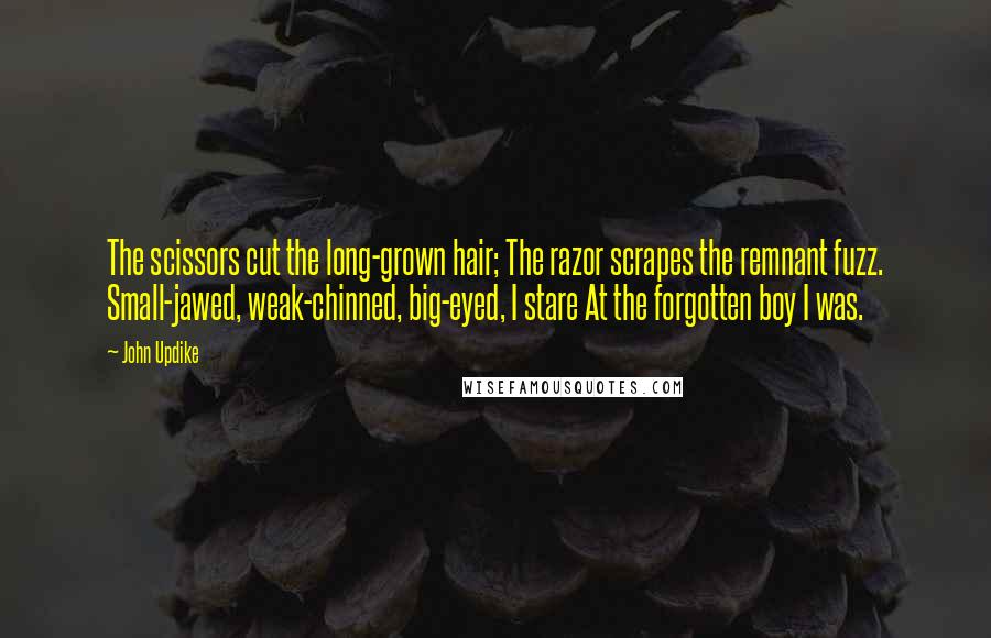 John Updike Quotes: The scissors cut the long-grown hair; The razor scrapes the remnant fuzz. Small-jawed, weak-chinned, big-eyed, I stare At the forgotten boy I was.