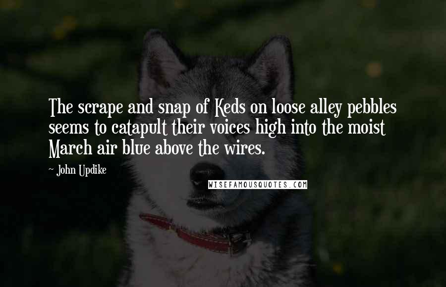 John Updike Quotes: The scrape and snap of Keds on loose alley pebbles seems to catapult their voices high into the moist March air blue above the wires.