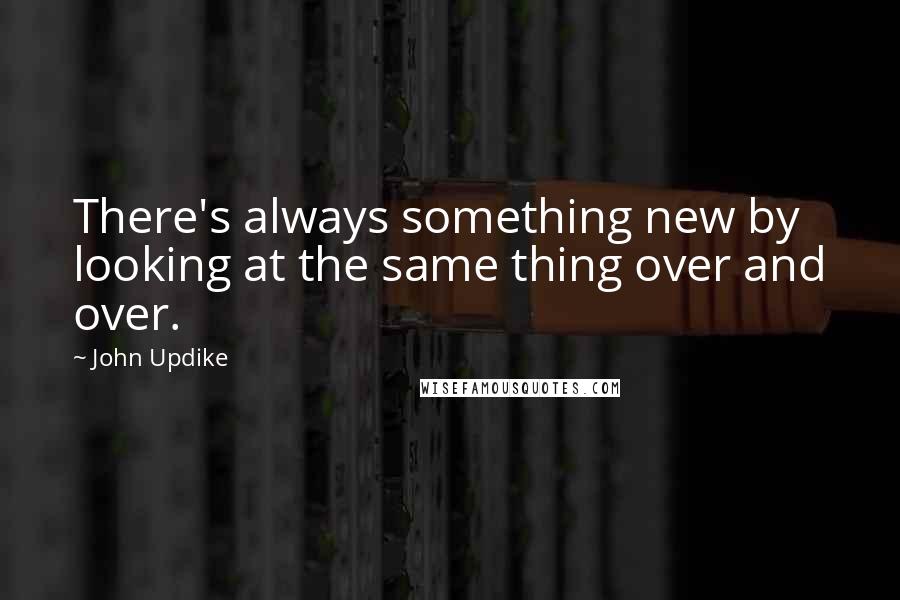 John Updike Quotes: There's always something new by looking at the same thing over and over.