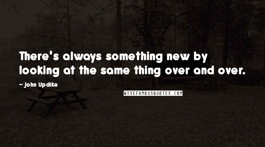 John Updike Quotes: There's always something new by looking at the same thing over and over.