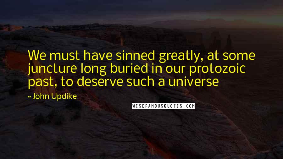 John Updike Quotes: We must have sinned greatly, at some juncture long buried in our protozoic past, to deserve such a universe