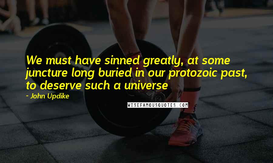 John Updike Quotes: We must have sinned greatly, at some juncture long buried in our protozoic past, to deserve such a universe