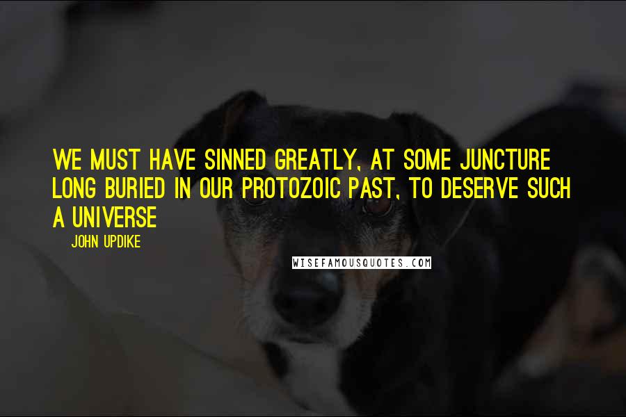 John Updike Quotes: We must have sinned greatly, at some juncture long buried in our protozoic past, to deserve such a universe