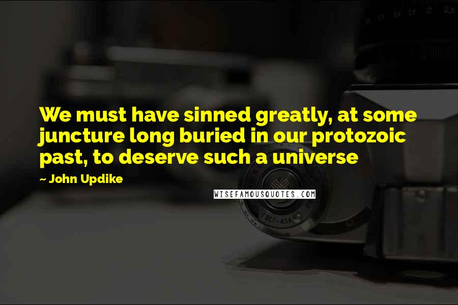 John Updike Quotes: We must have sinned greatly, at some juncture long buried in our protozoic past, to deserve such a universe