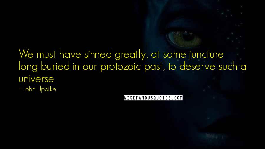 John Updike Quotes: We must have sinned greatly, at some juncture long buried in our protozoic past, to deserve such a universe