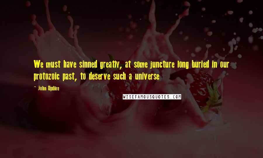 John Updike Quotes: We must have sinned greatly, at some juncture long buried in our protozoic past, to deserve such a universe