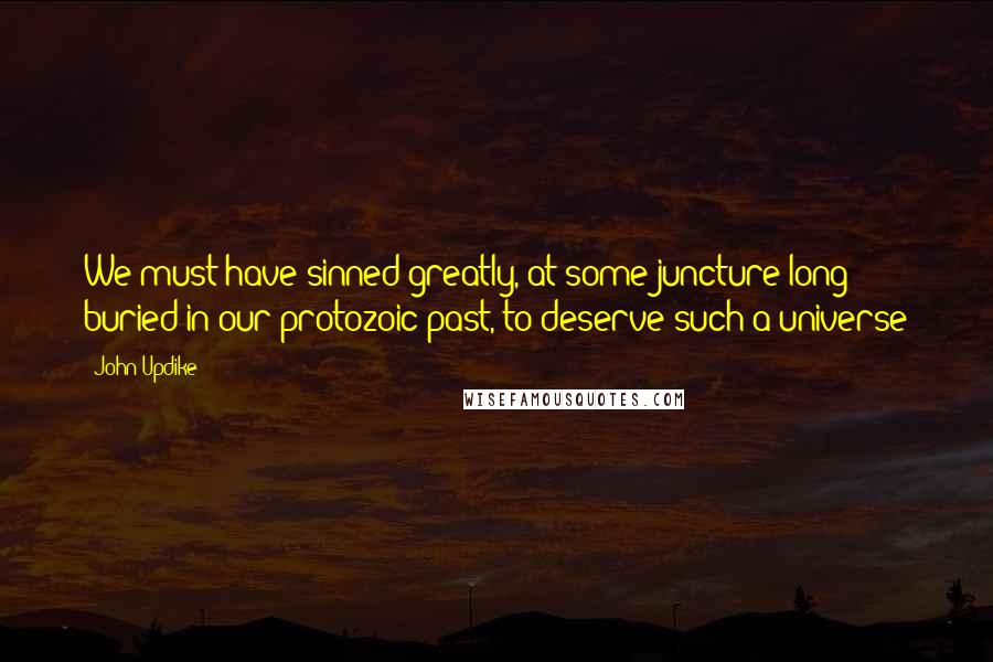 John Updike Quotes: We must have sinned greatly, at some juncture long buried in our protozoic past, to deserve such a universe