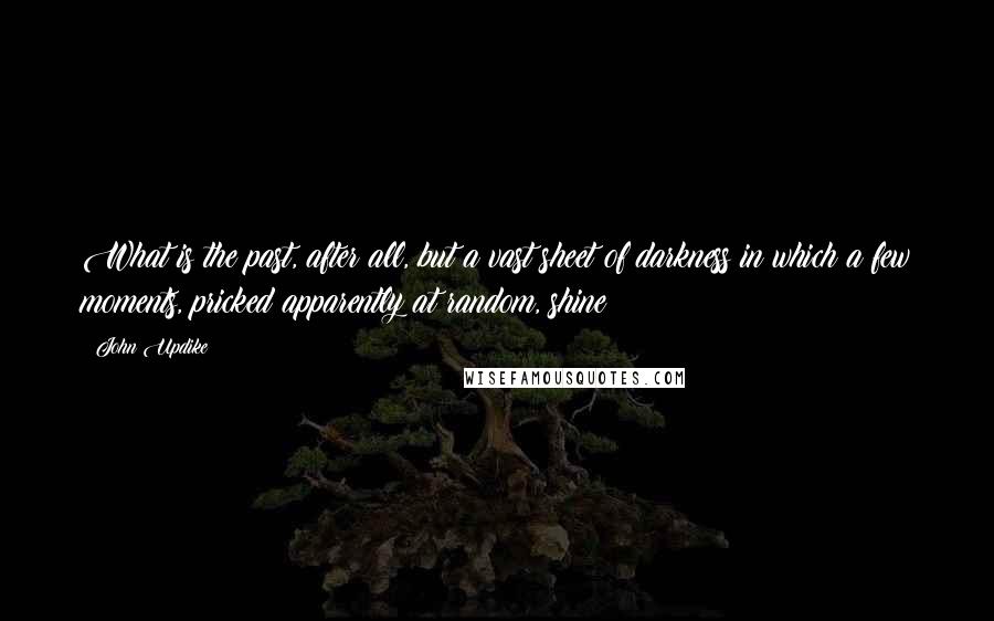 John Updike Quotes: What is the past, after all, but a vast sheet of darkness in which a few moments, pricked apparently at random, shine?