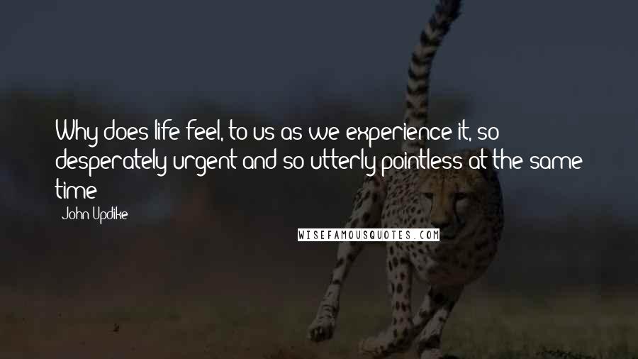 John Updike Quotes: Why does life feel, to us as we experience it, so desperately urgent and so utterly pointless at the same time?