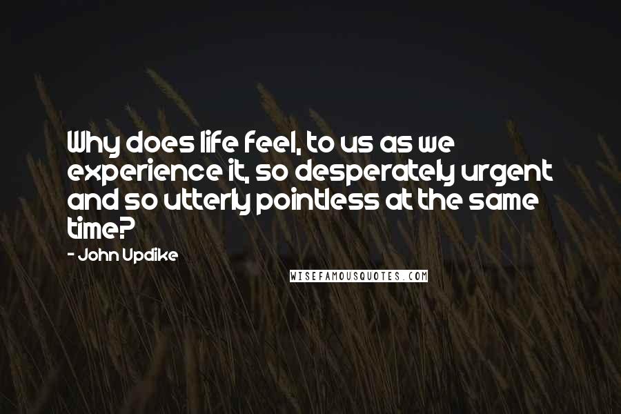 John Updike Quotes: Why does life feel, to us as we experience it, so desperately urgent and so utterly pointless at the same time?