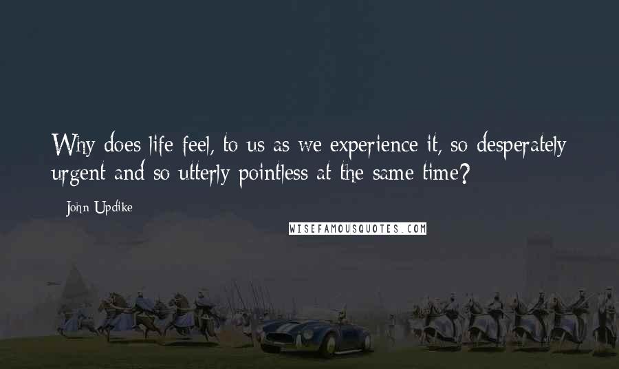 John Updike Quotes: Why does life feel, to us as we experience it, so desperately urgent and so utterly pointless at the same time?