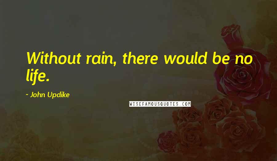 John Updike Quotes: Without rain, there would be no life.