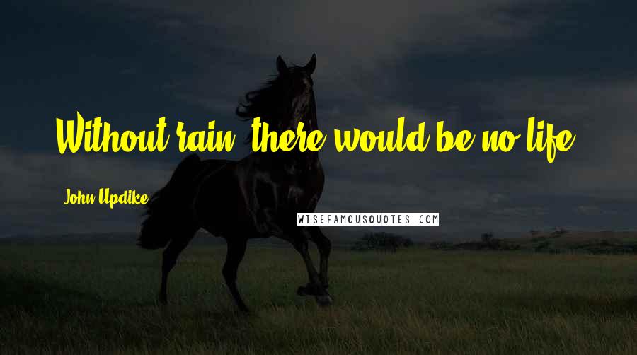 John Updike Quotes: Without rain, there would be no life.