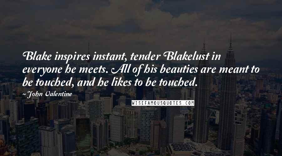 John Valentine Quotes: Blake inspires instant, tender Blakelust in everyone he meets. All of his beauties are meant to be touched, and he likes to be touched.