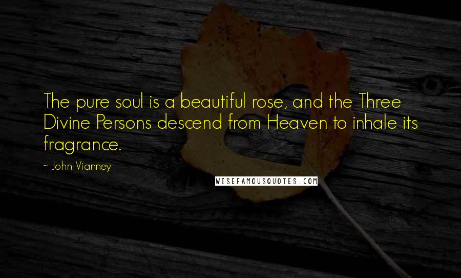 John Vianney Quotes: The pure soul is a beautiful rose, and the Three Divine Persons descend from Heaven to inhale its fragrance.